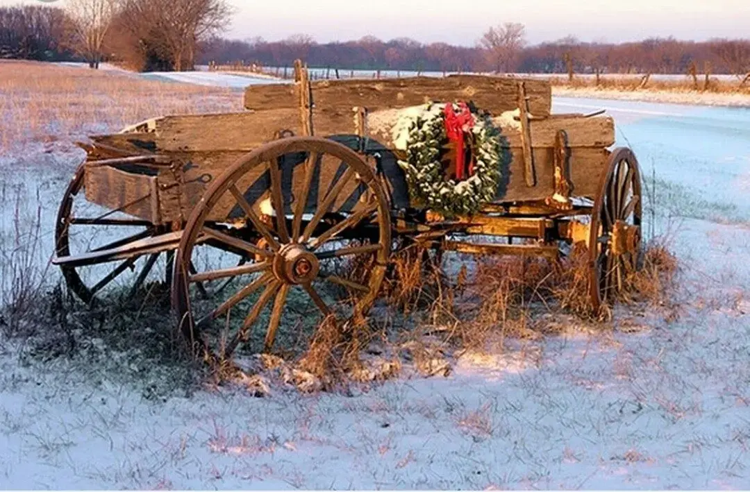 481120677_1035540965269060_8695982588069563674_n-jpg