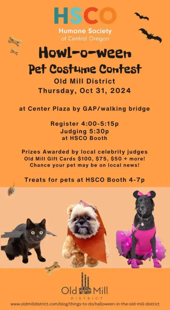 2024-halloween-omd-hsco-ad426339-png