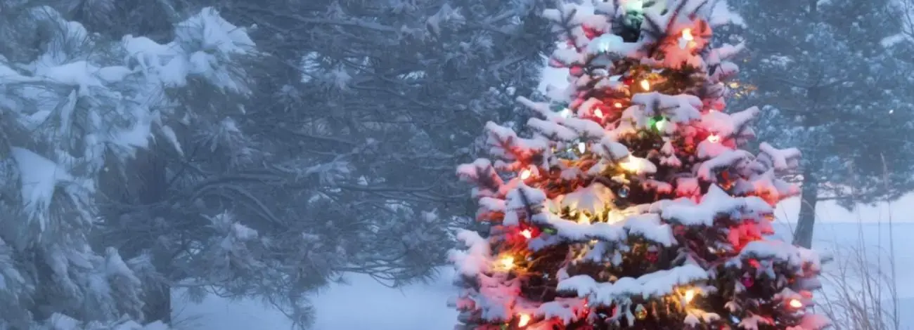 idaho_christmas-tree-permits-jpg