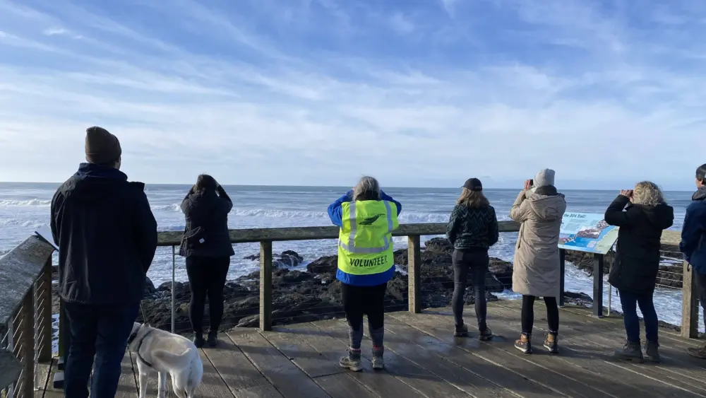 yachats-state-recreation-area439232