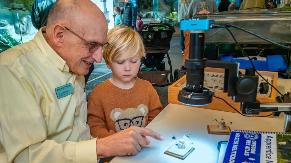 freedaybytoddcary751884