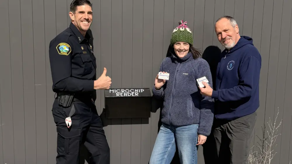 fixbendmicrochip819376