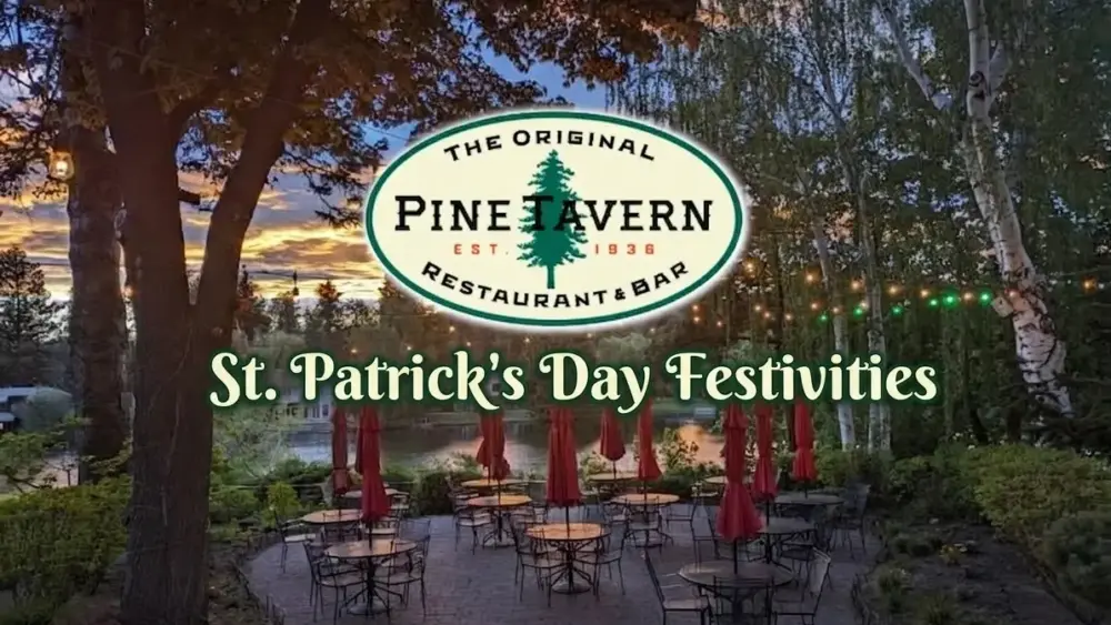 gemini_generated_image_dgz144dgz144dgz1-png-2