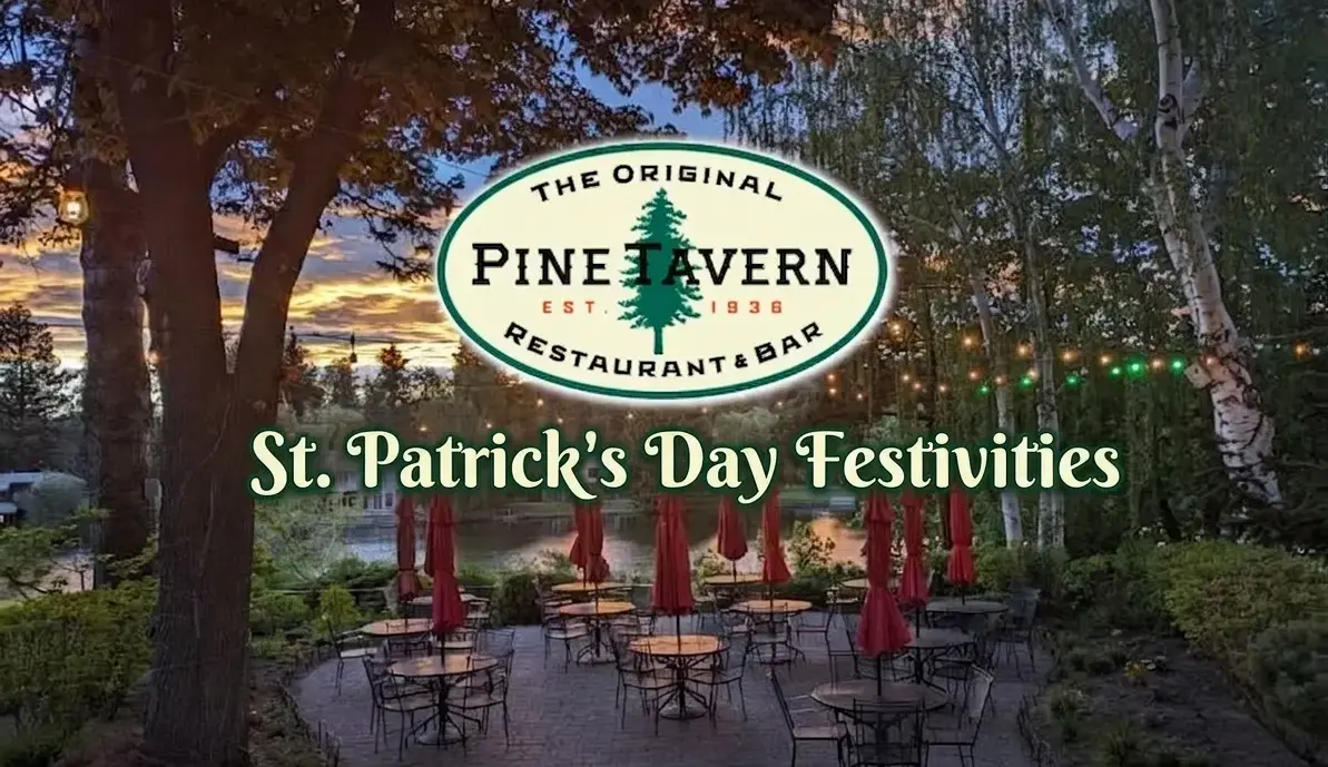 gemini_generated_image_dgz144dgz144dgz1-png-2