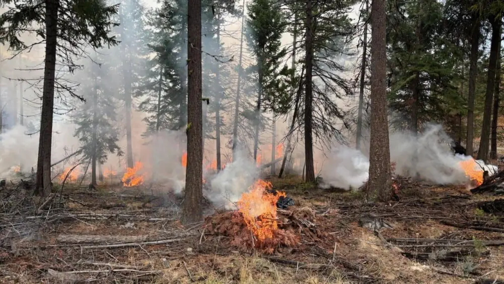prescribed_burn560143