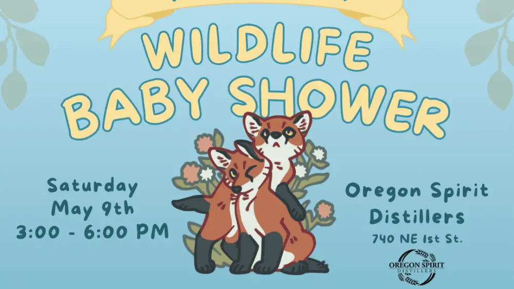 2026-baby-shower-event-flyer524467