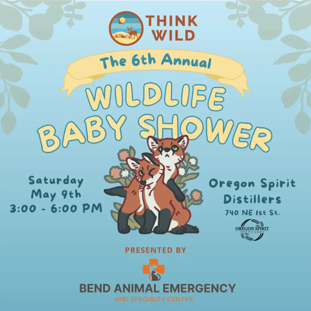 2026-baby-shower-event-flyer524467