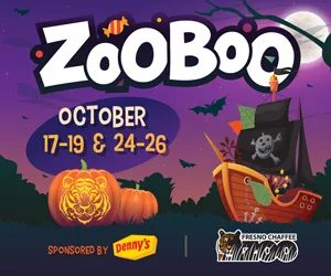 24zooboo-web-banners