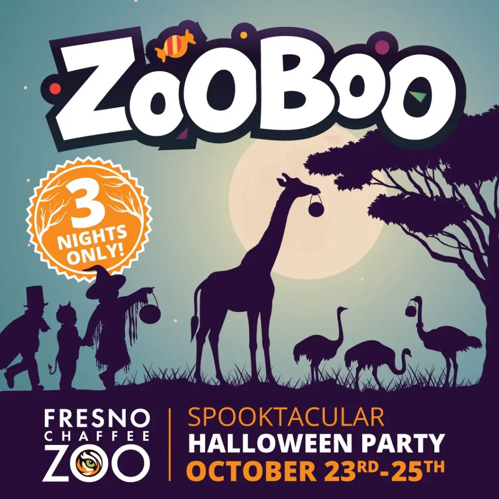 zoo23326_zooboo2025_socialad_1x1-jpg