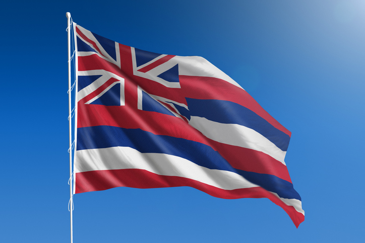 us-state-flag-of-hawaii