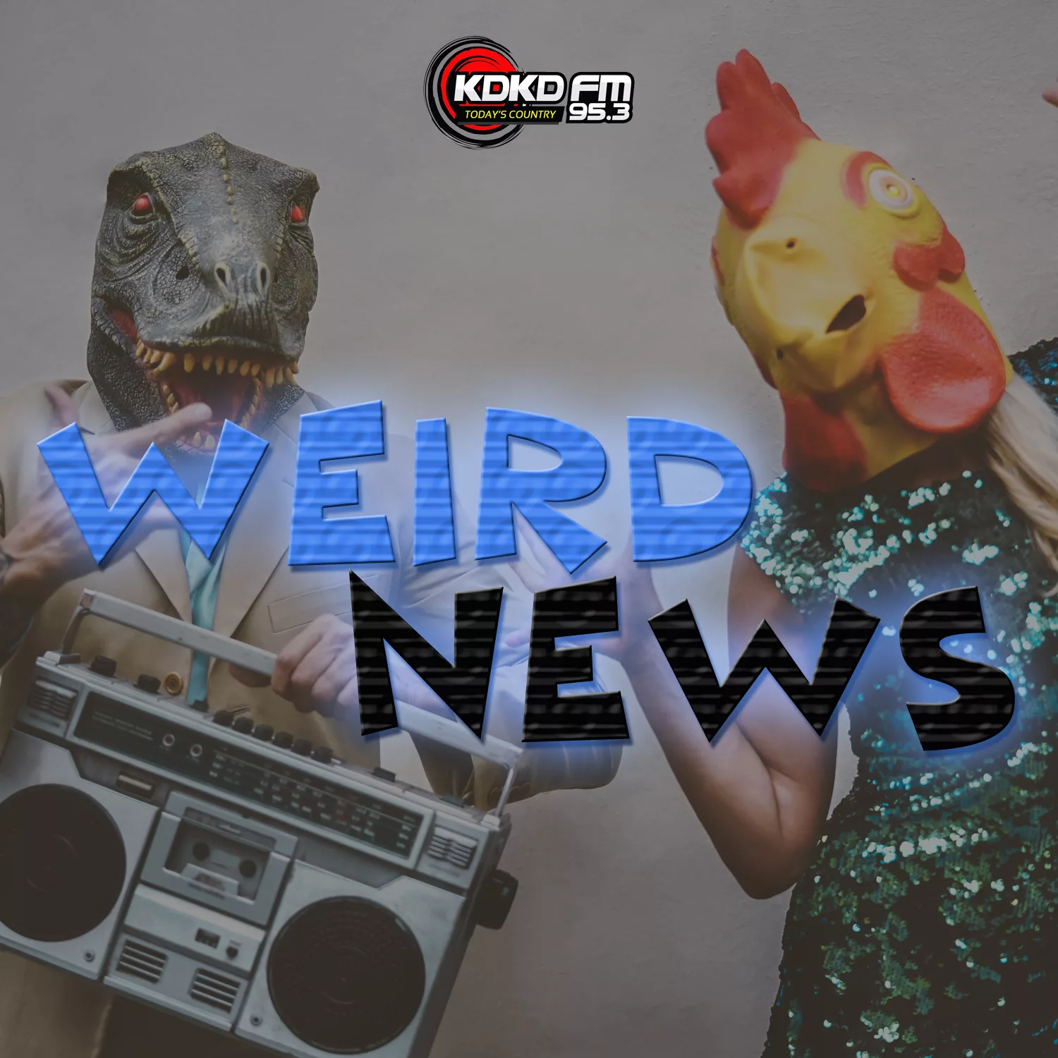 kdkd-weird-news-2