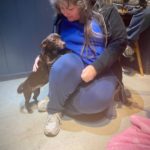 Pet of the Week - Lil Brownie!