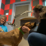 KDKD Pet of the Week: Chris!