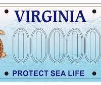 protect-sea-life-png