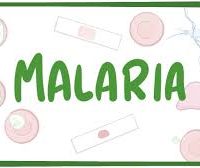 malaria-jpg-2