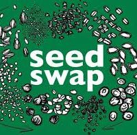 seed-swap4-200x197-1
