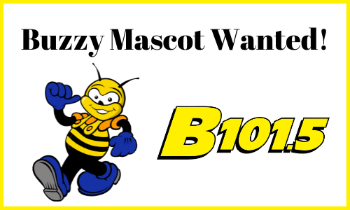 Buzzy Wanted!
