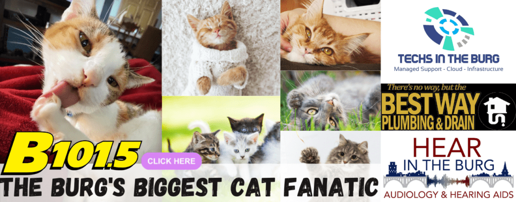 The Burg's Biggest Cat Fanatic! | B101.5 Today's Best Music - Vimarsana News