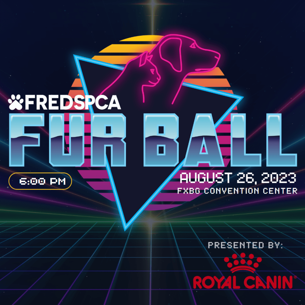 fredericksburg-spca-s-8th-annual-fur-ball-gala-b101-5-today-s-best-music