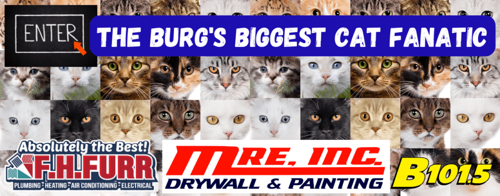 The Burg's Biggest Cat Fanatic Photo Contest 2023 | B101.5 Today's Best Music - Vimarsana News