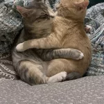 Dottie and Joy: Sister snuggles 