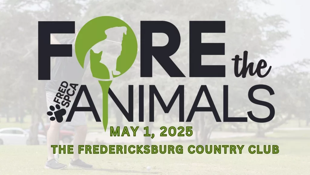 fore-the-animals-2025