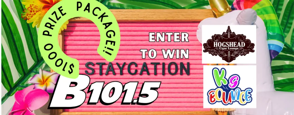 staycation-web-banner