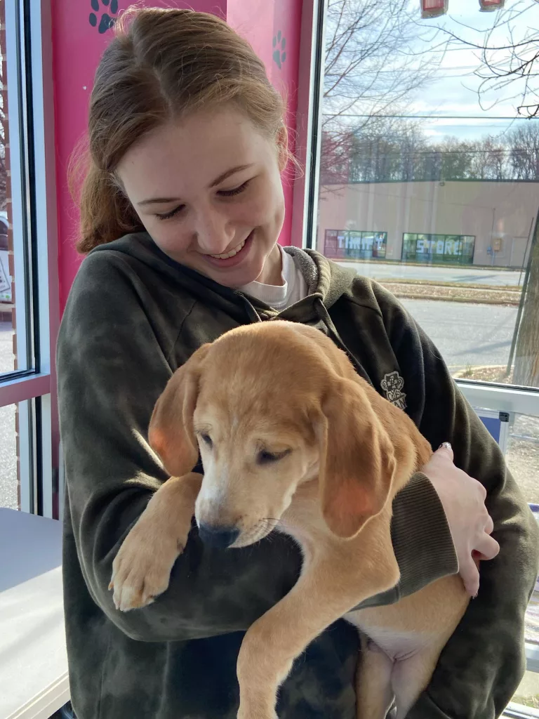 odhs-amanda-plaugher-and-tybolt-puppy