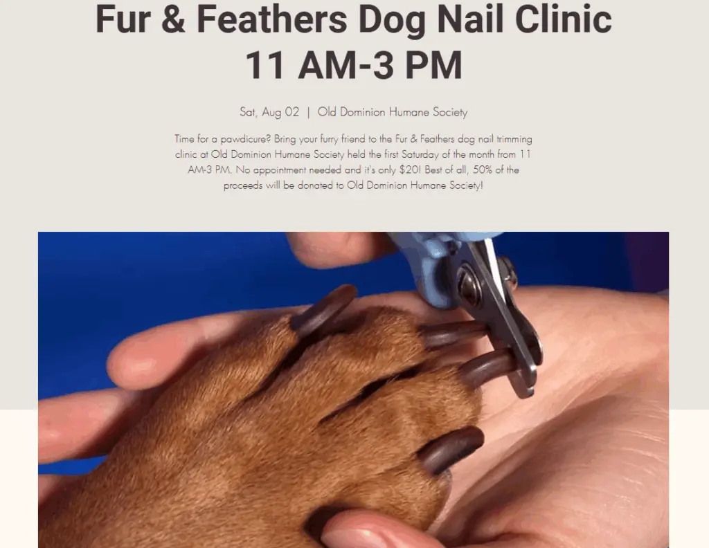 fur-and-feather
