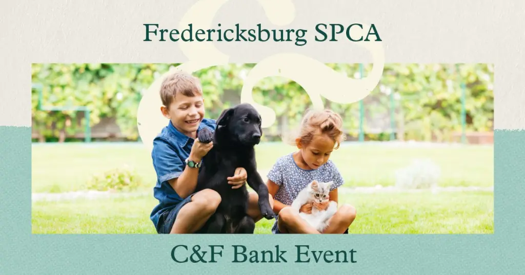adoptiondaycf