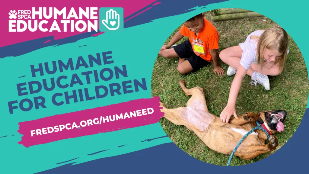 humane-ed-program-promo