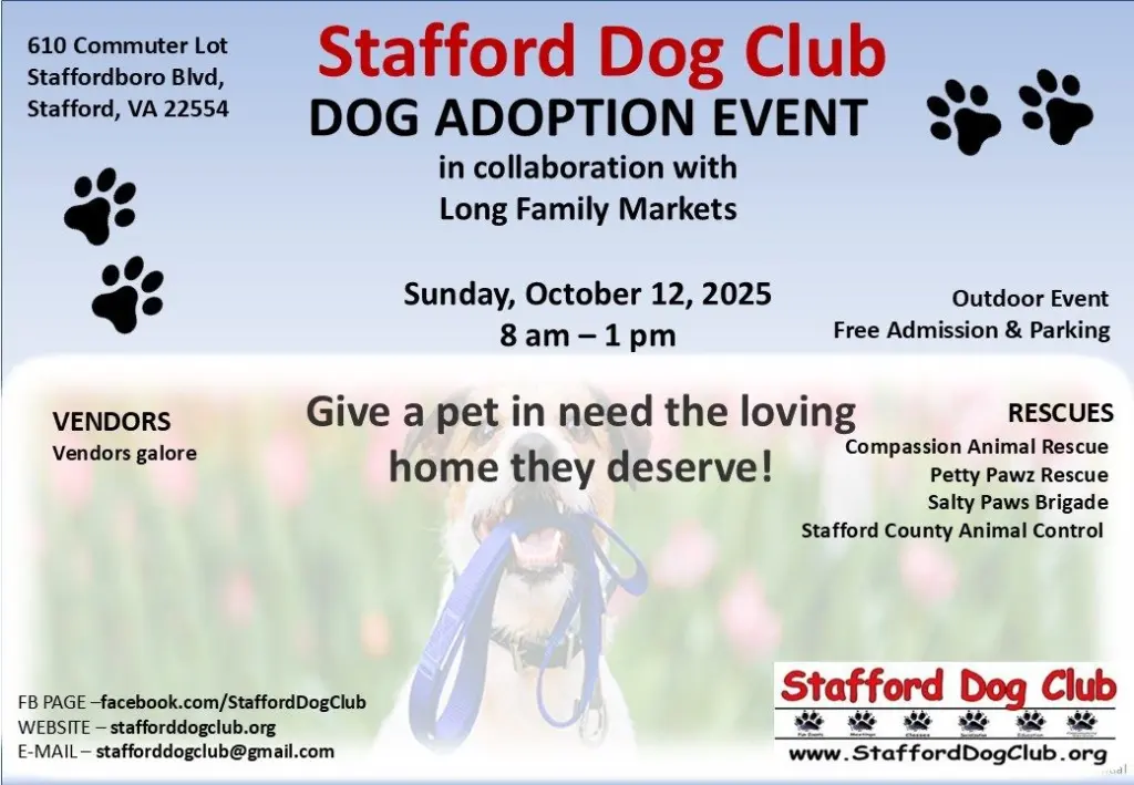thumbnail_sdc-adoption-flyer-oct-12-2025