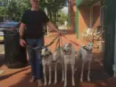 steve-gardner_shoeless916746