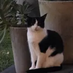 Protecting the Deck!: Max