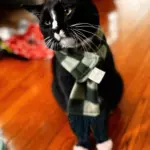 IMG_0896: Such a dignified gentleman!!!
