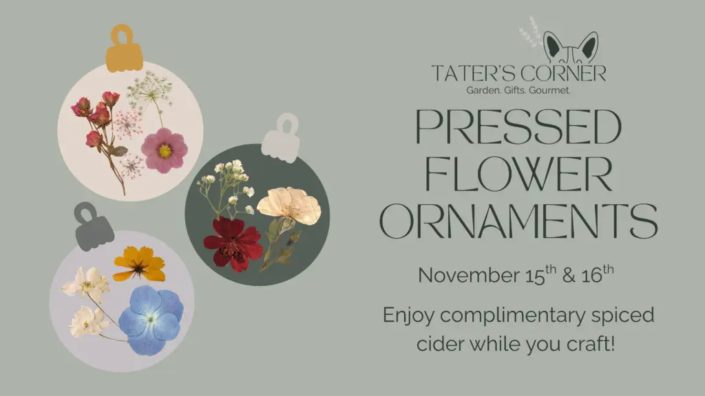 pressed-flowers-cover-photo