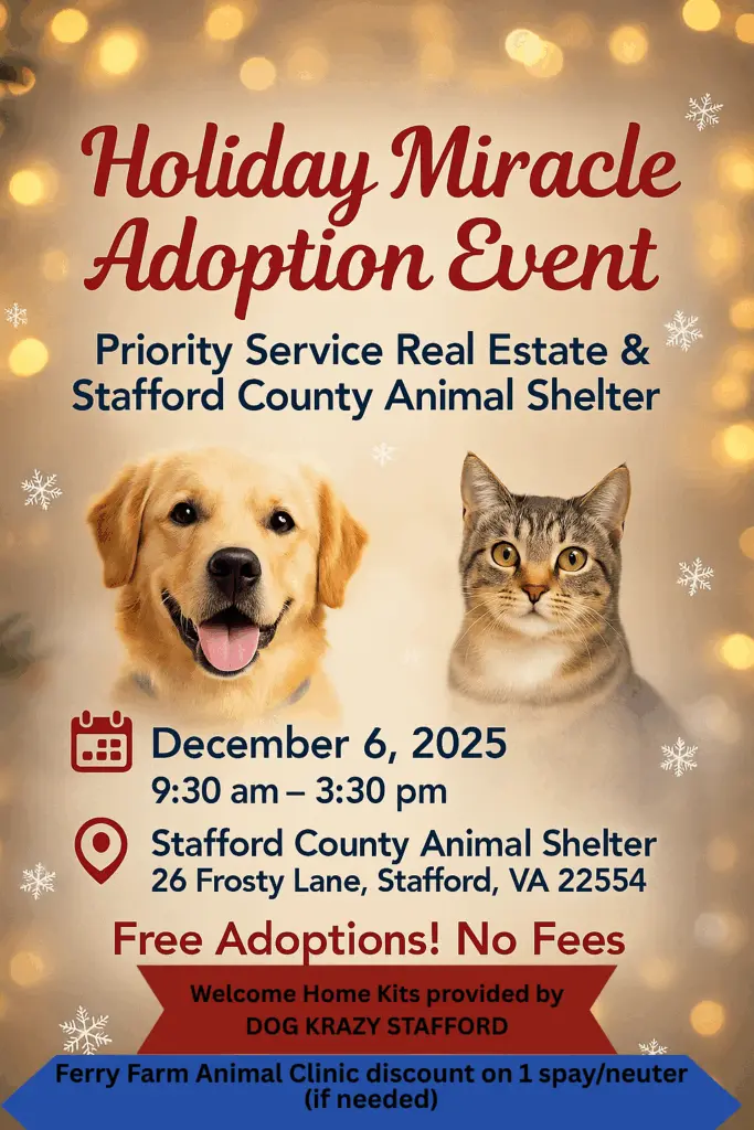 holiday-miracle-adoption-event-flyer