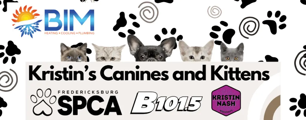 canines-and-kittens-image-3