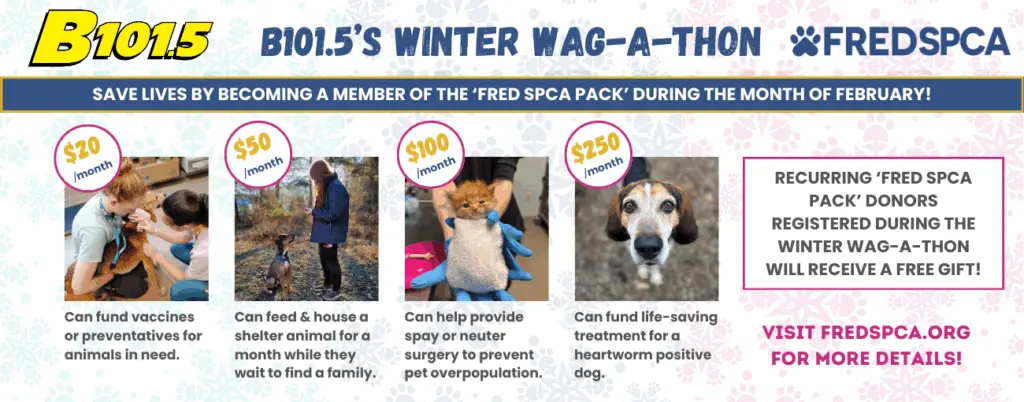 1300x510-web-carousel-banner-3