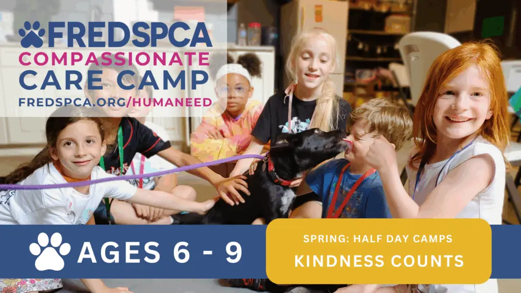 ccc-spring-6-9-kindness-counts