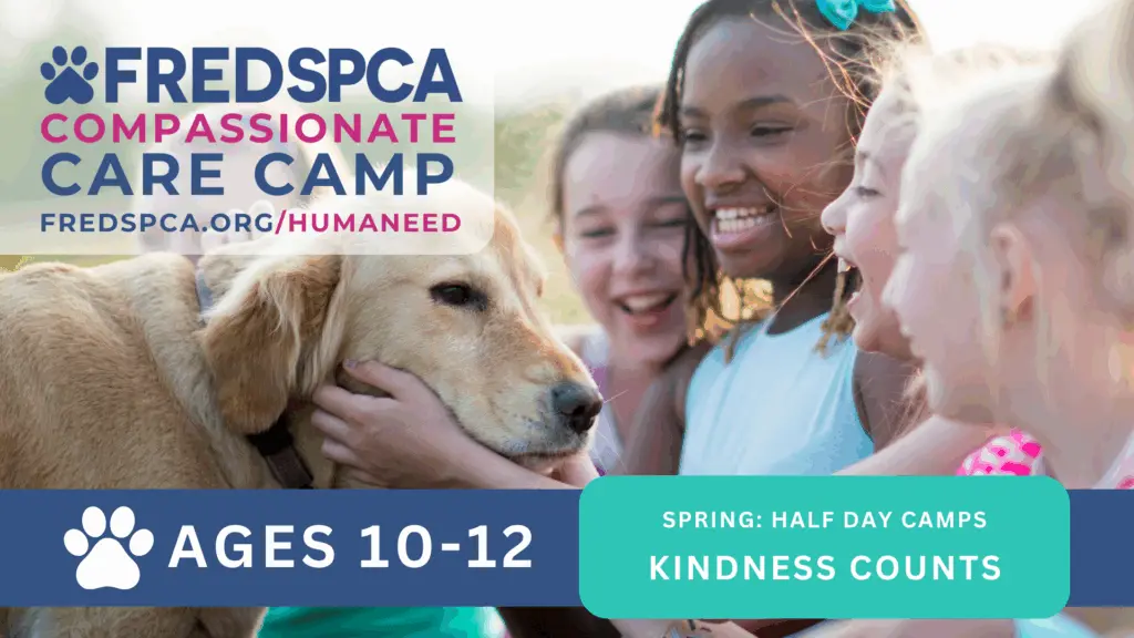 ccc-spring-10-12-kindness-counts