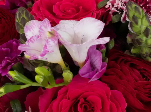 screenshot-2026-02-10-093436