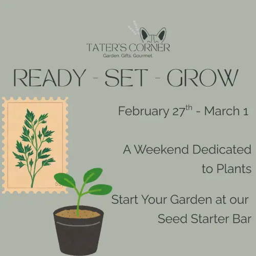 ready-set-grow-image