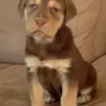 inbound8583536164362992880