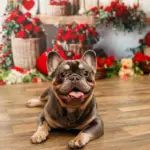 inbound4555273731594716650