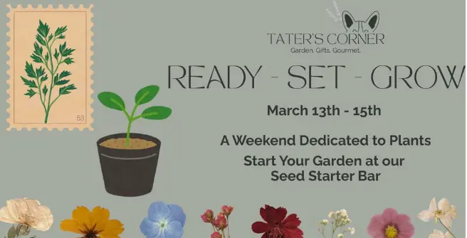 screenshot-2026-03-11-143346