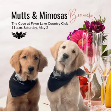 Mutts & Mimosas Brunch-Hosted by Leashes of Valor