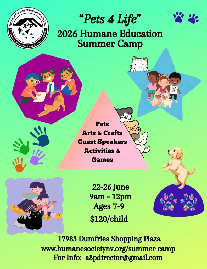 2026-summer-camp_younger