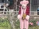 suspect-photo563070