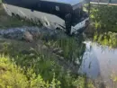 bus1666508